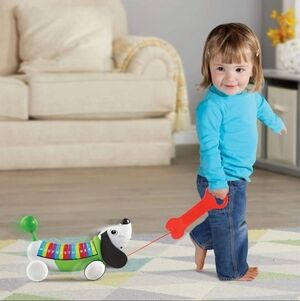 Leapfrog Alphapup Phonics Learning Toy